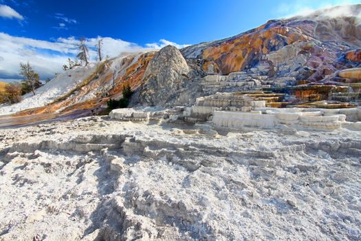 Terraces of Mammoth Hot Springs in Yellowstone National Park.