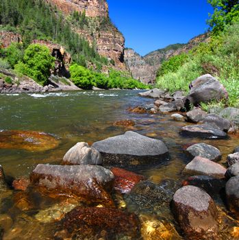 Colorado River flows through the White River National Forest in the western United States.