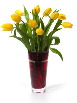 Bouquet of yellow tulips in a red glass vase on a white background.