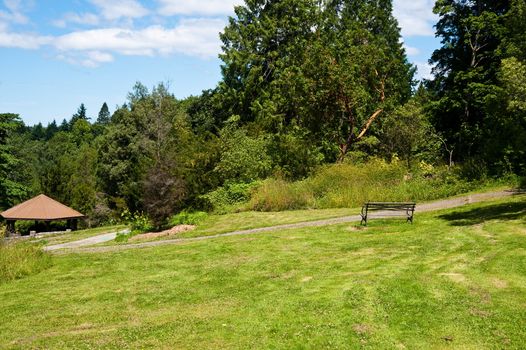 Washington Park Arboretum, Seattle