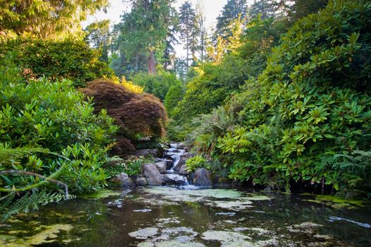 Kubota Garden in Seattle WA