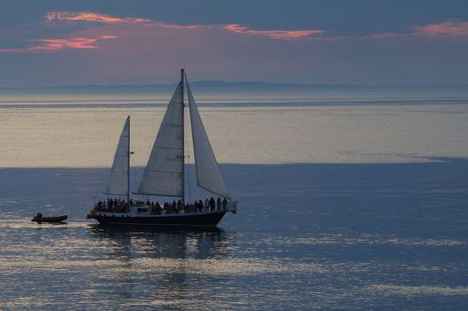 A whale watching tour sail boat against the setting sun