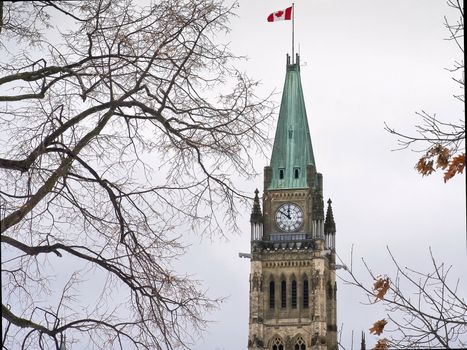 The canadian Parliament with twisted branches in the sky at lunchtime on a crisp winter day.