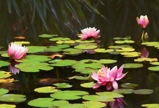 Lily pads on the pond with pastel flowers in bloom.
