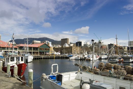 Fishing boats in Constitution dock, Hobart, Tasmania