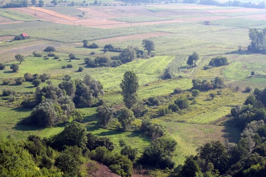 farmland summer landscape