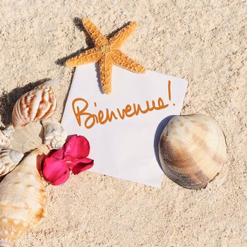 blank paper on white sand beach with starfish and shells like summer vacation background