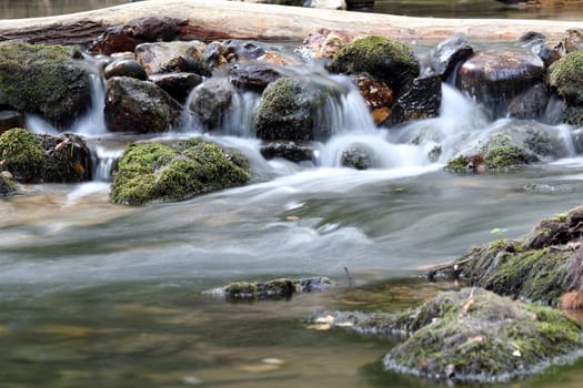 water spring scene