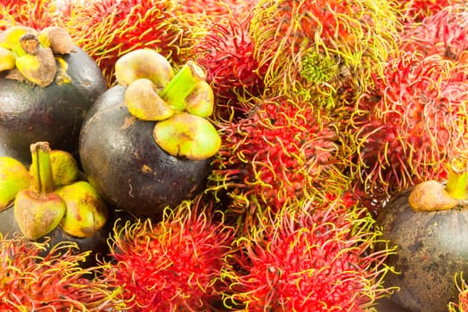 rambutan and mangosteen, the delicious tropical fruits in thailand