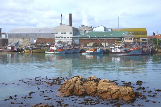 Fishing boats tied up alongside at the fishing port of Lamberts Bay in the Western Cape of South Africa