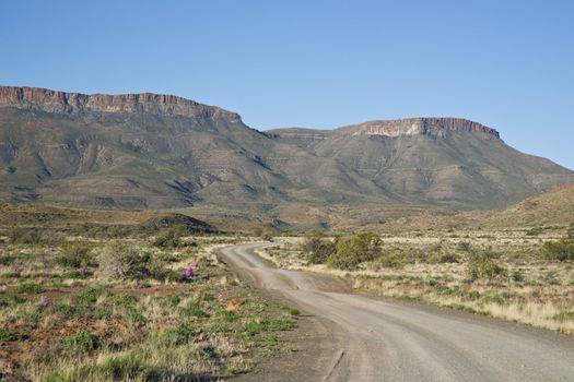 Gravel road in Karoo National Park in the Western Cape of South Africa. Arid landscape with flat topped hills.