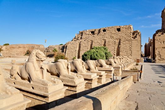 row of ramheaded sphinxes at temple of karnak, luxor, egypt