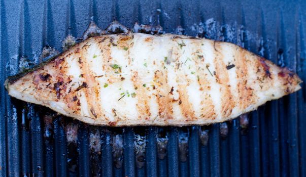 Greenland Halibut fillet steak being grilled on BBQ