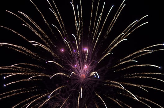 A delicate burst of fireworks in the night sky
