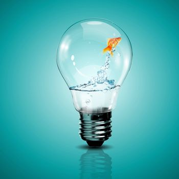 Gold fish in water inside an electric light bulb