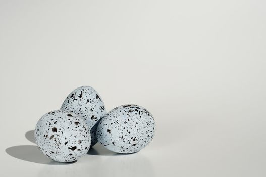 three blue eggs with black spots bunched in a group and isolated on white backgrond