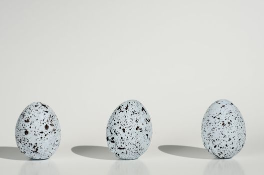 three blue eggs with black spots in a row isolated on white backgrond