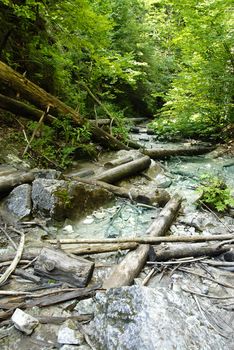 One of the many crystal clear brooks in the Slovakian paradise natural park