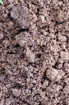 Macro closeup of ground background. Dirt detail fragment.