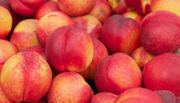 Close up a a single nectarine on a pile of the fruit at softer focus at the farmers market