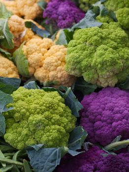 Pile of Purple Green Orange Cauliflower at the farmers market