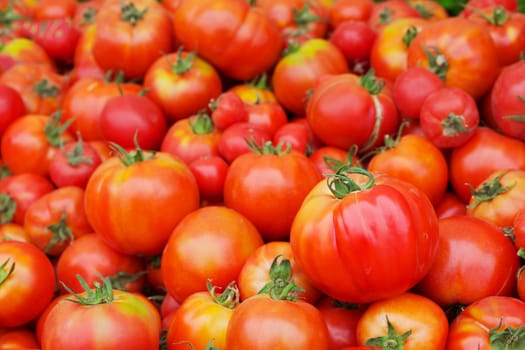 Pile of Red Juicy Tomatoes with softer background at the farmers market
