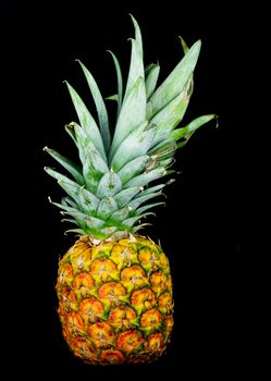 a single pineapple standing against a black background