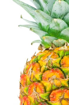 a single pineapple standing against a white background