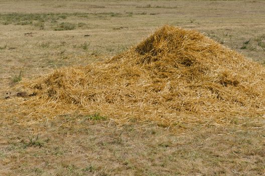 pasture straw on the cattle farm, horizontal shot