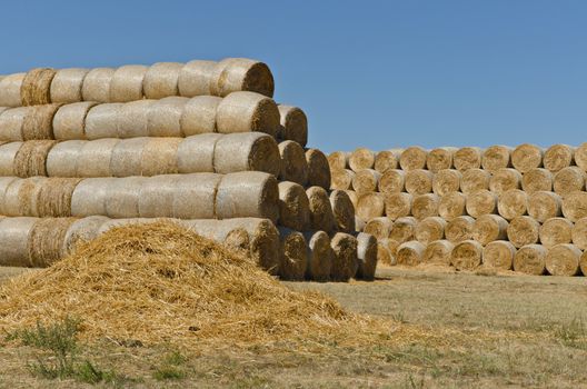 pasture straw and stacks of hay bales on the cattle farm, horizontal shot
