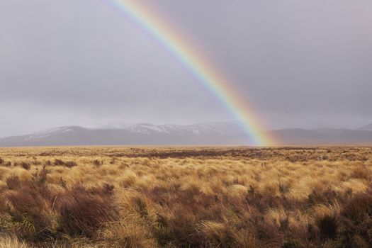 Rainbow over the moorland of North Island, New Zealand