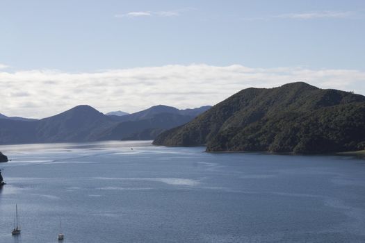 Scenic salt water inlet at Picton on the South Island of New Zealand.