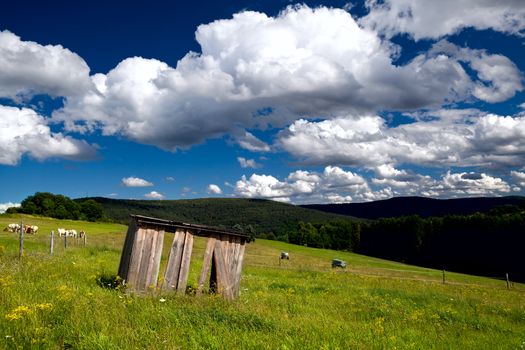 summer green meadows in mountains under beautiful sky