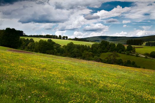 summer flowering meadows in mountains in Burgsinn, Germany