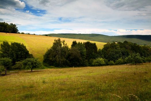 wild meadows in mountains in Germany