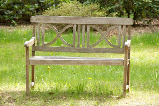 Lonely bench standing in a park