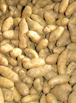 potatoes