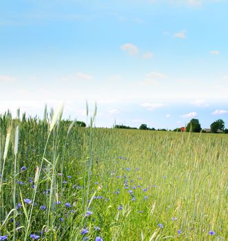 classic countryside landscape