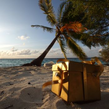 golden gift on ocean beach under palm