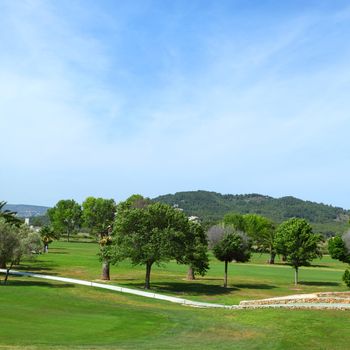 Green grass on a golf field