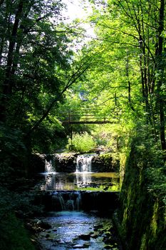 Forest waterfall