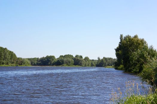 Summer landscape with river