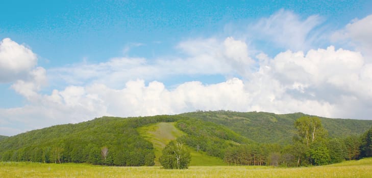 Beautiful summer landscape with forest on the hills.