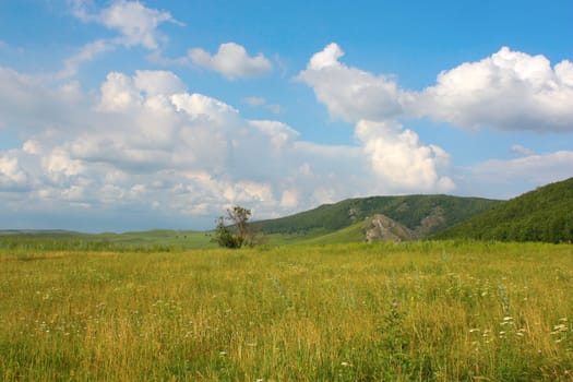 Summer landscape with mountains 