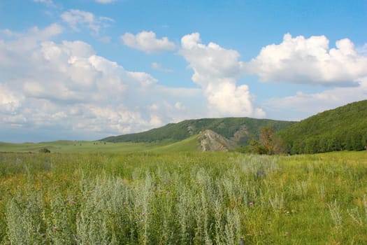 Summer landscape with mountains