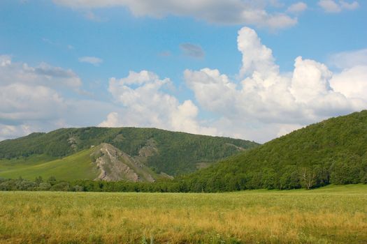 Summer landscape with forest on the mountains 