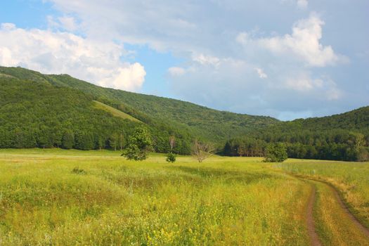 Roads in the gorge. Summer landscape. 