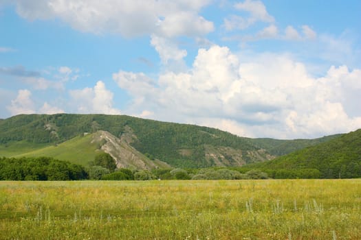 Summer landscape with forest on the mountains 