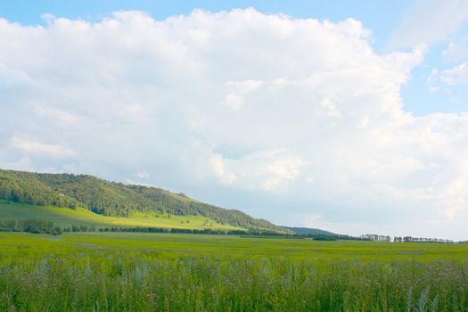 Beautiful summer landscape with blue sky and clouds. 