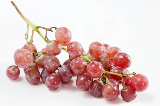 bunch of red grapes , fresh and wet
